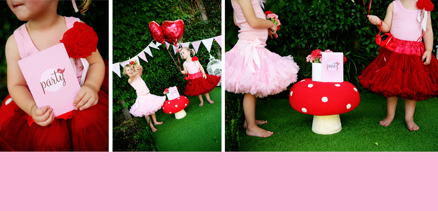 alannahrose little bird party