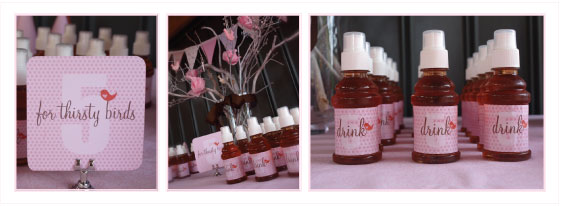 bird party theme, wholesale party invitations, girls party inspiration