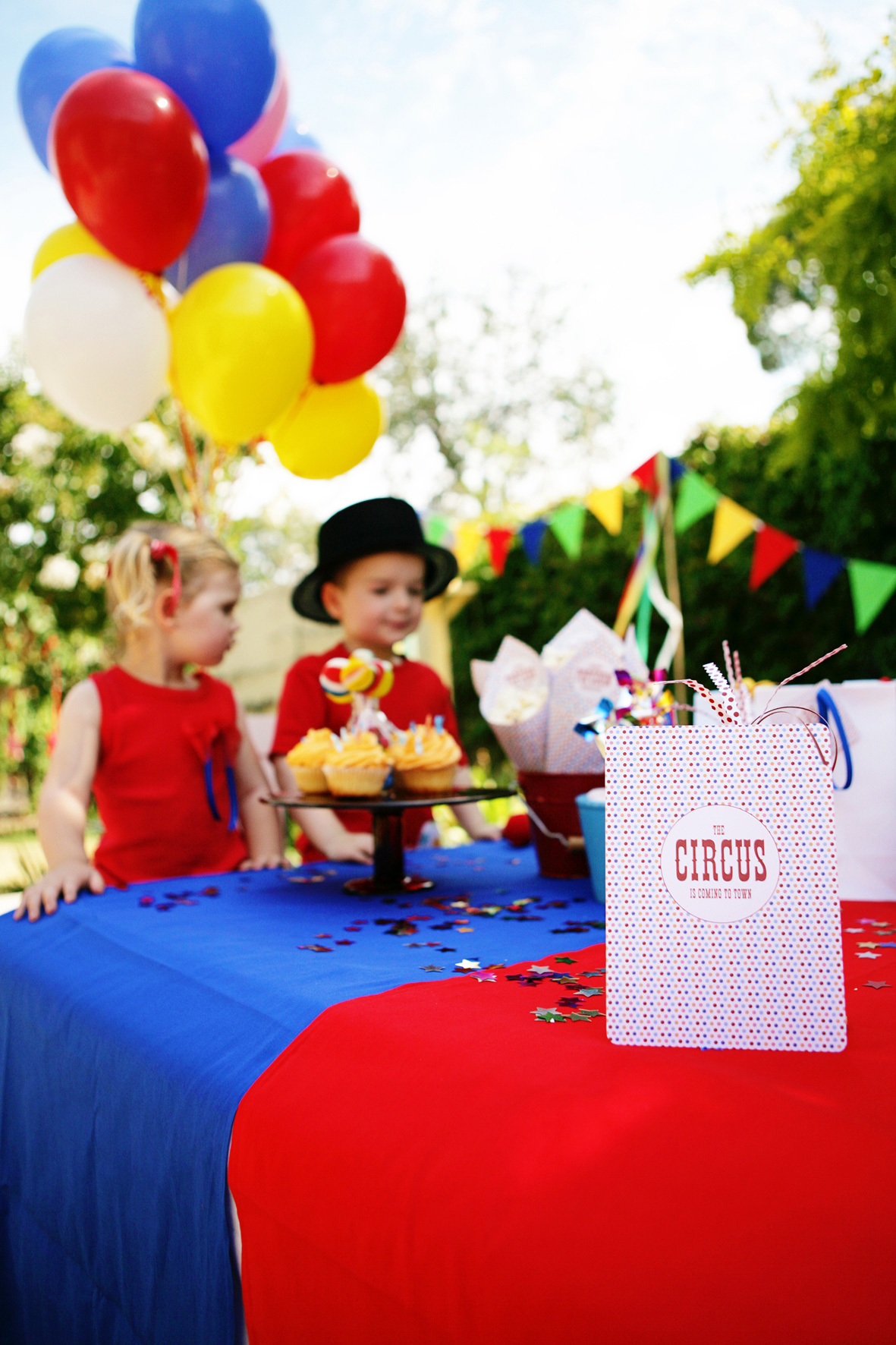 circus party invitations