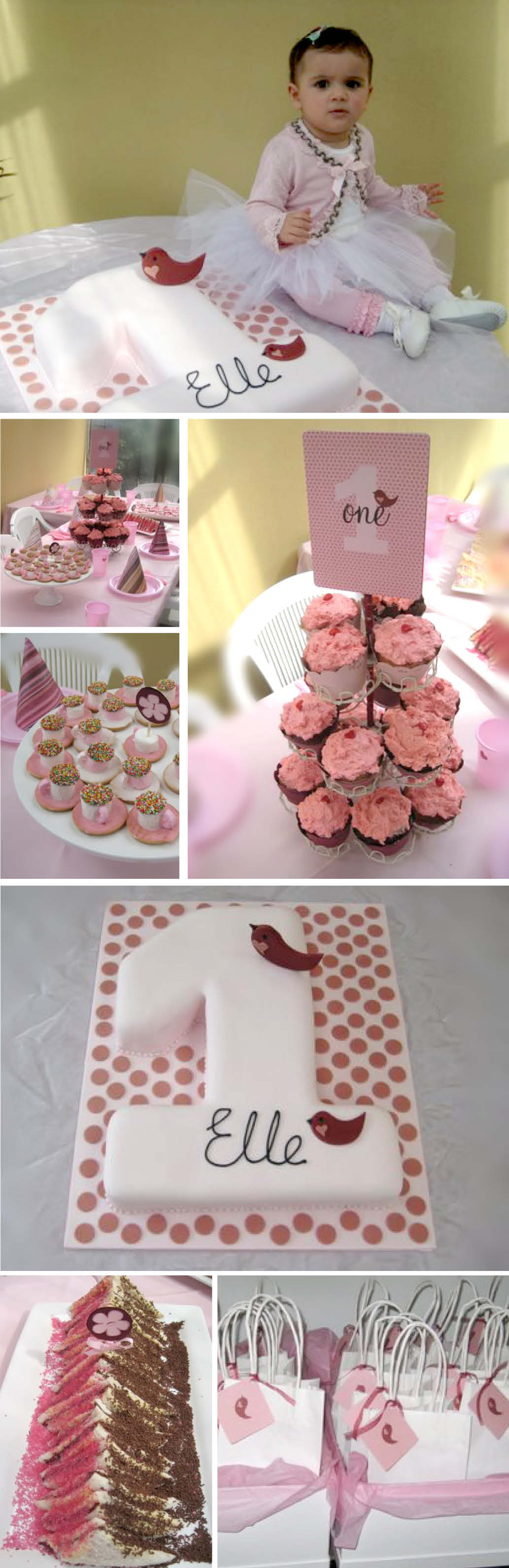 one lala bird party theme