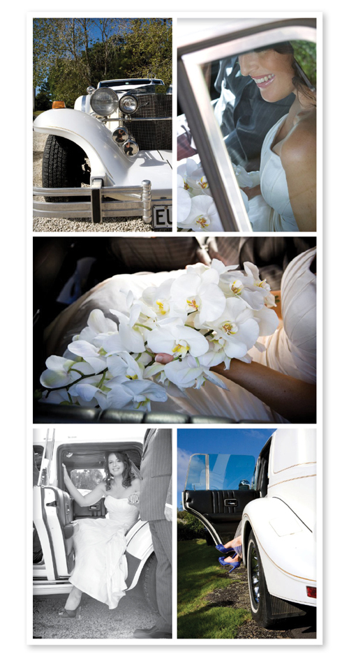 black and white wedding theme
